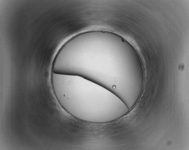 X0000102760912200808180928