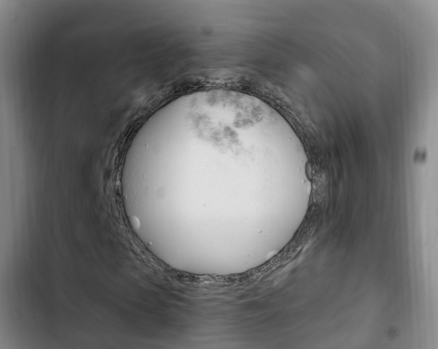 X0000102760913200808180928