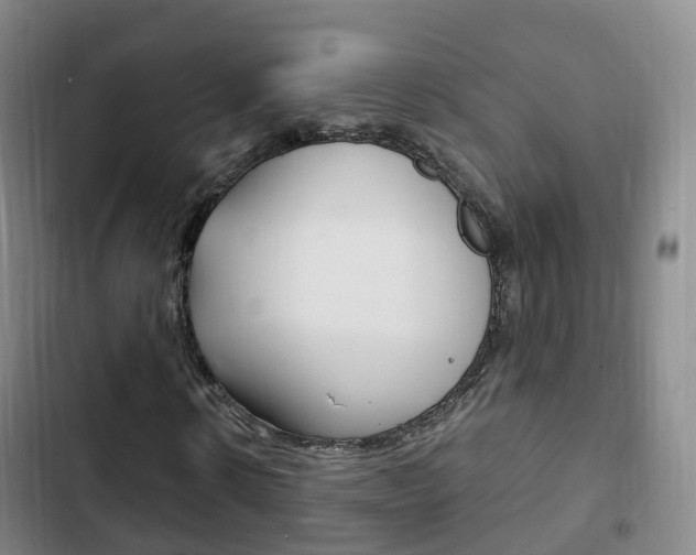 X0000102760914200808180928