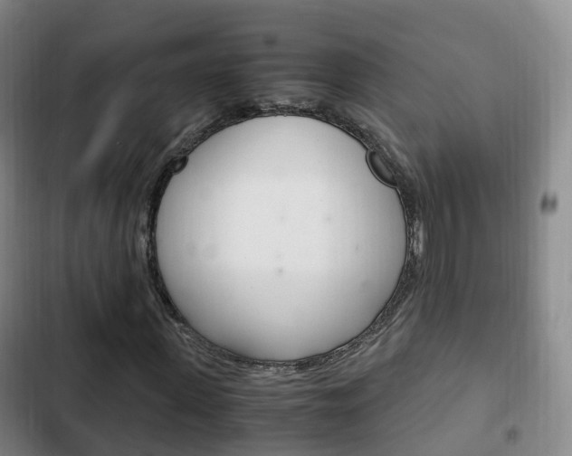 X0000102760915200808180928