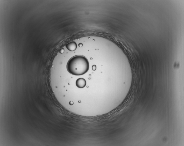 X0000102760916200808180928