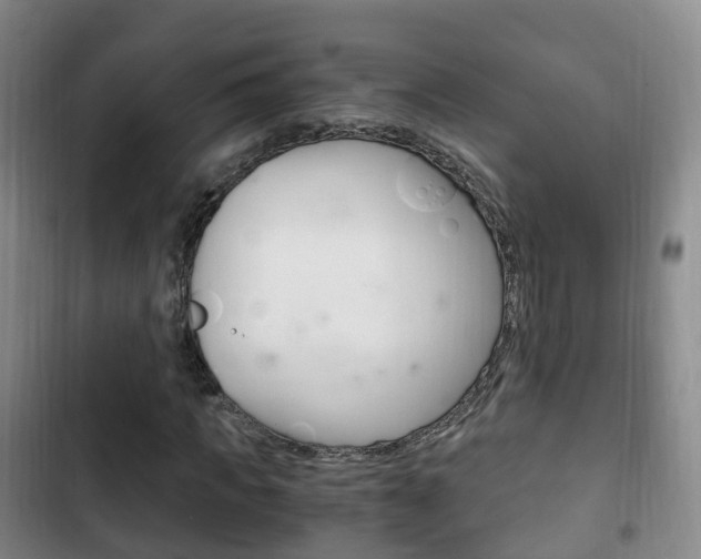 X0000102760917200808180928