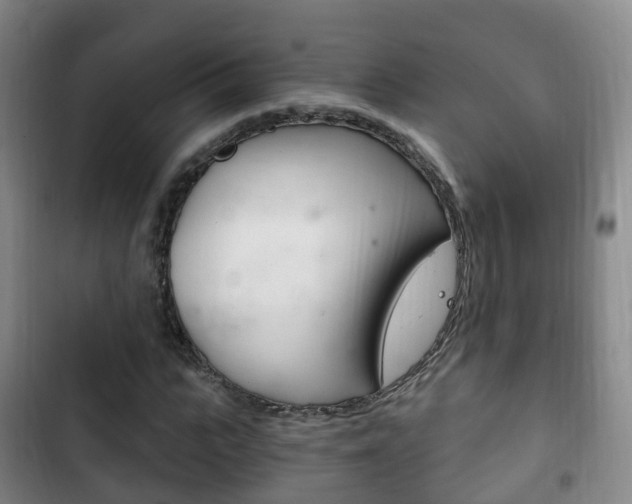 X0000102760919200808180928