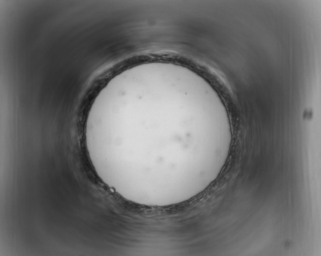 X0000102760920200808180928