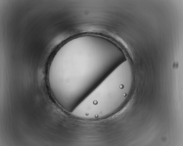 X0000102760922200808180928