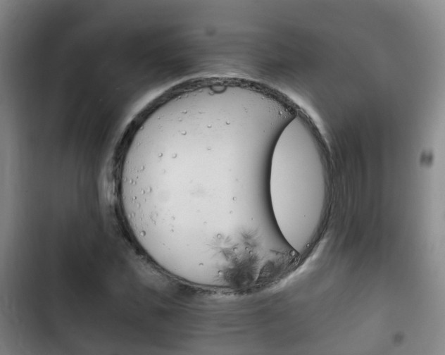 X0000102760925200808180928