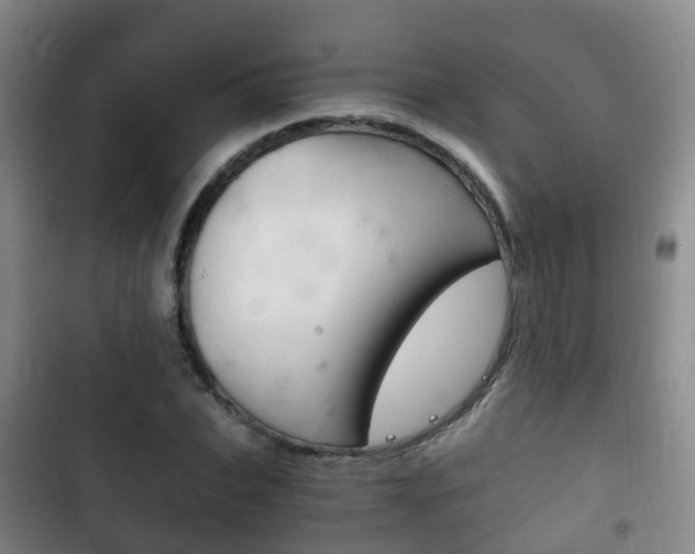 X0000102760927200808180928