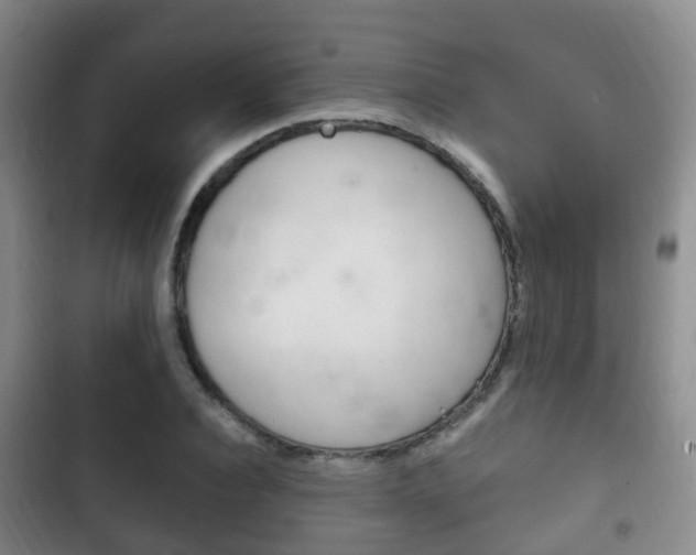 X0000102760928200808180928