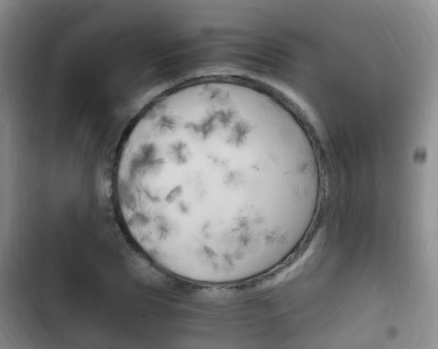 X0000102760929200808180928