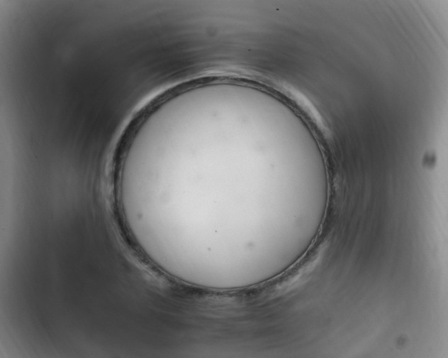 X0000102760931200808180928
