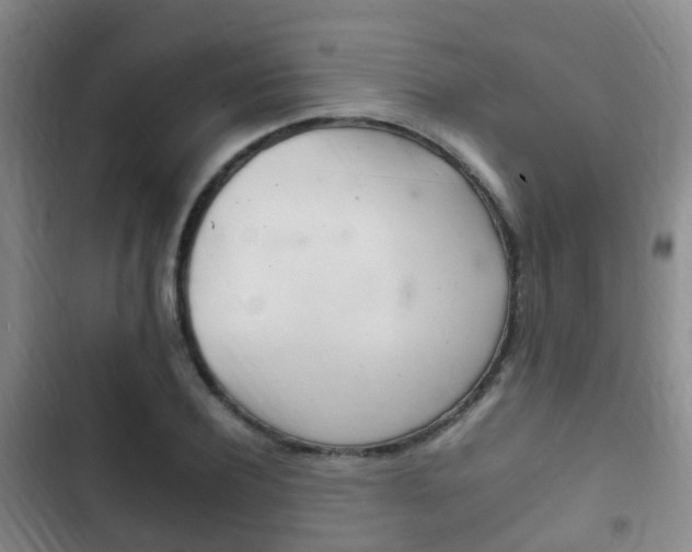 X0000102760932200808180928