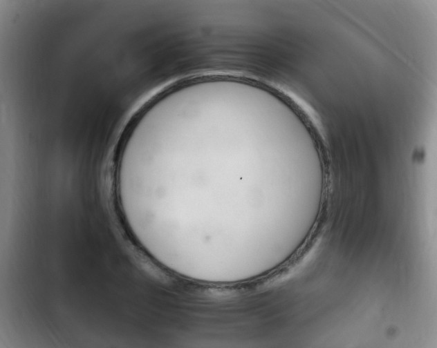 X0000102760933200808180928