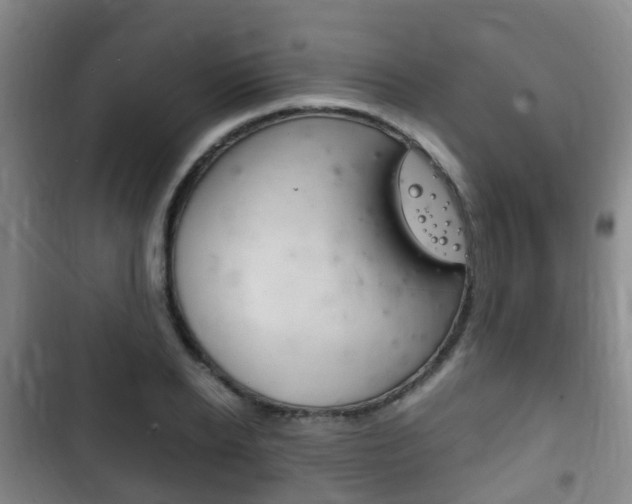 X0000102760934200808180928