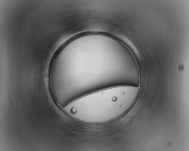 X0000102760935200808180928