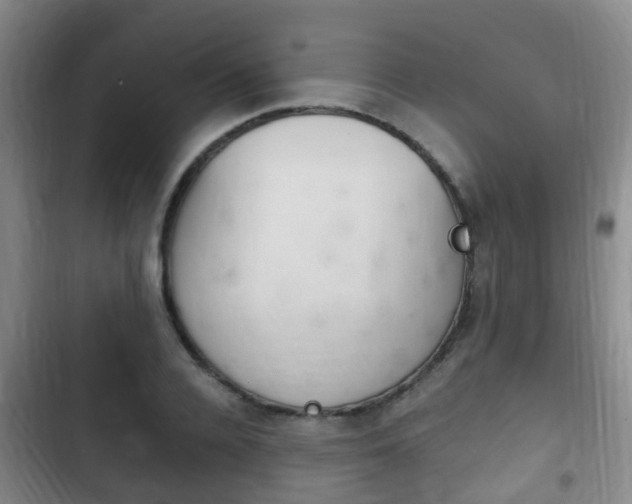 X0000102760936200808180928