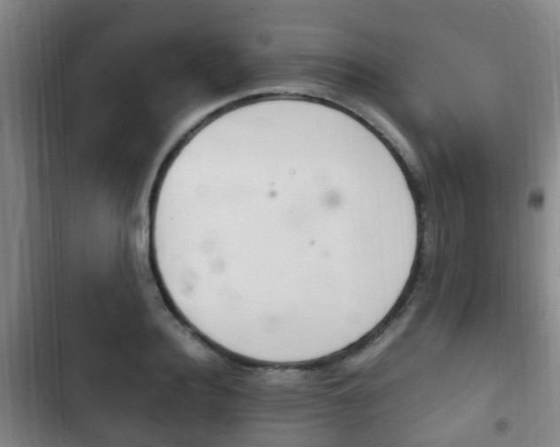 X0000102760940200808180928