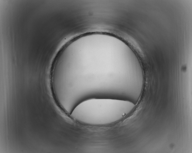 X0000102760942200808180928