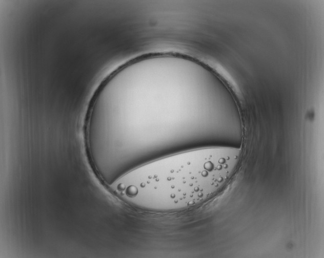 X0000102760943200808180928