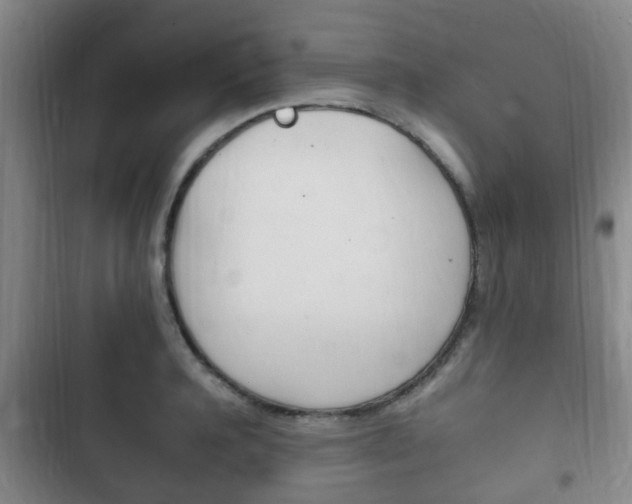 X0000102760944200808180928