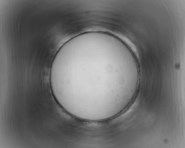 X0000102760945200808180928