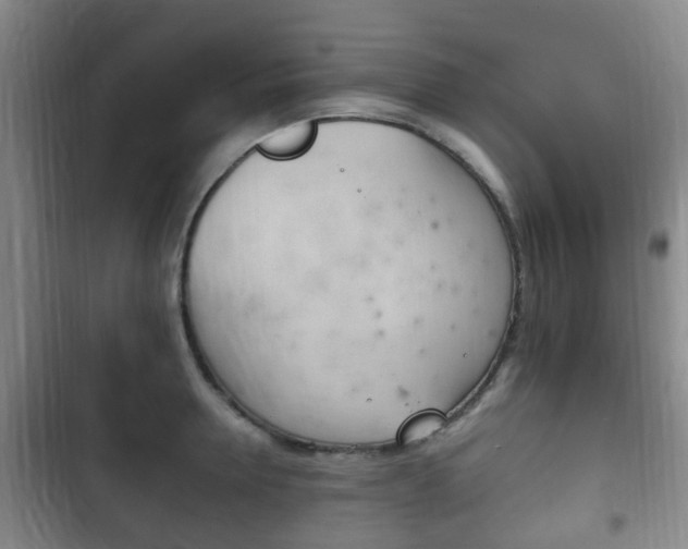 X0000102760946200808180928