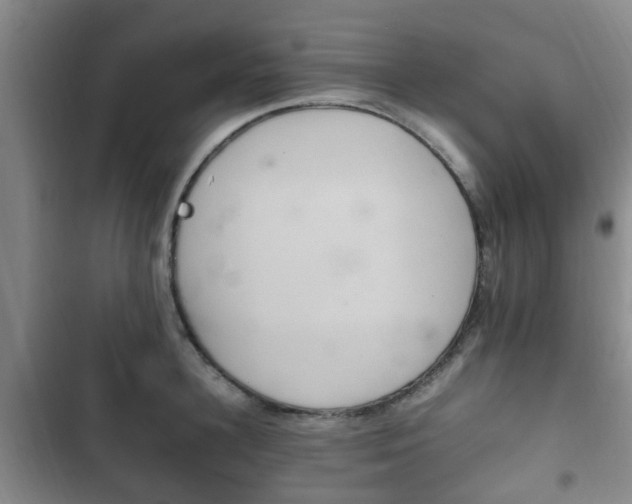 X0000102760948200808180928