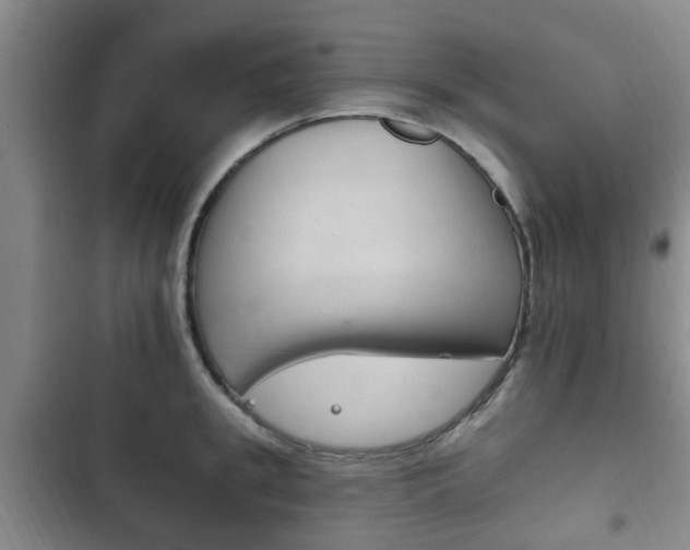 X0000102760949200808180928