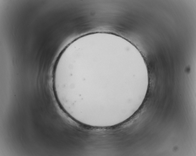 X0000102760950200808180928