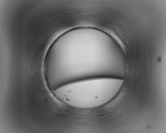 X0000102760951200808180928