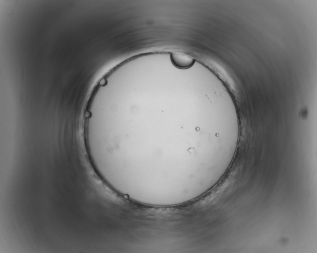 X0000102760952200808180928