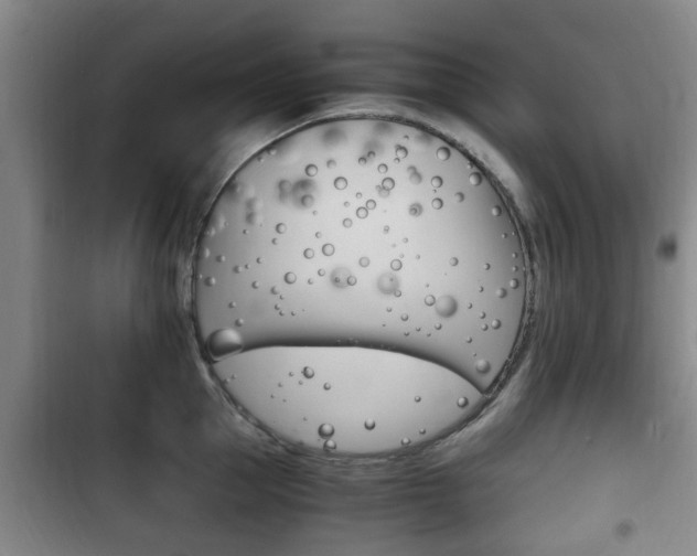 X0000102760953200808180928