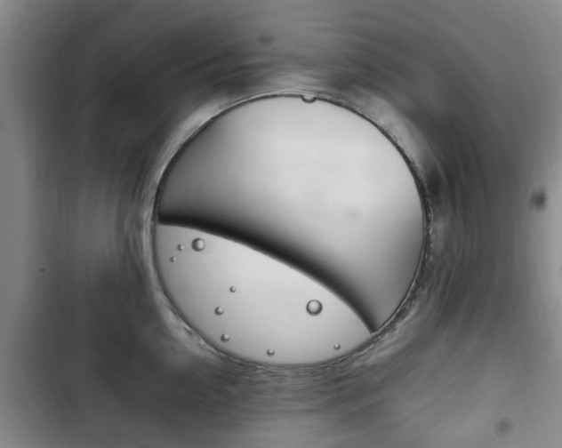 X0000102760954200808180928