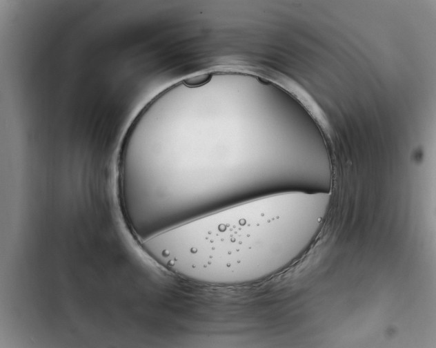 X0000102760955200808180928