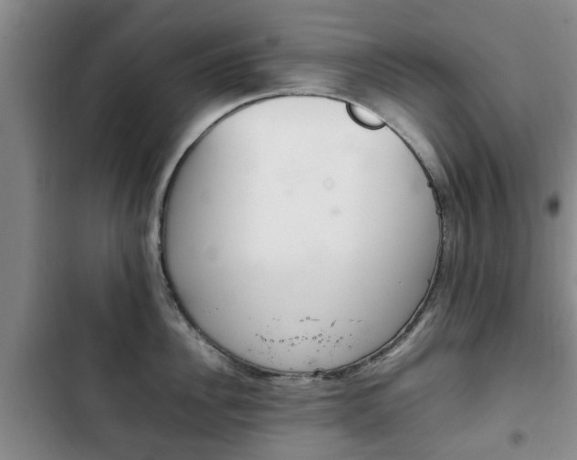 X0000102760956200808180928