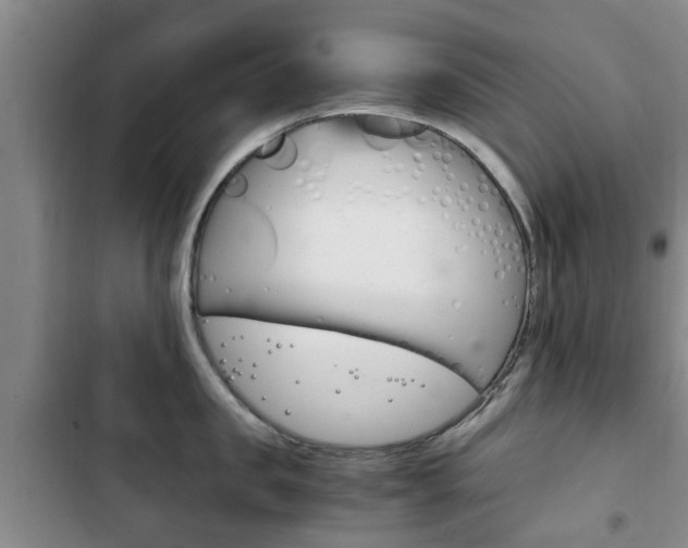 X0000102760957200808180928