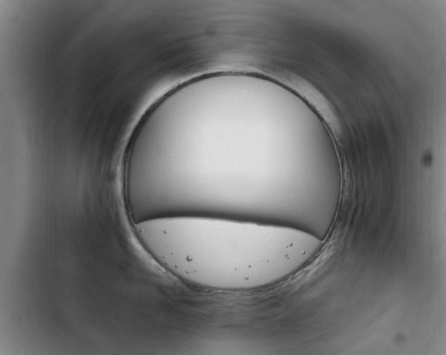X0000102760958200808180928