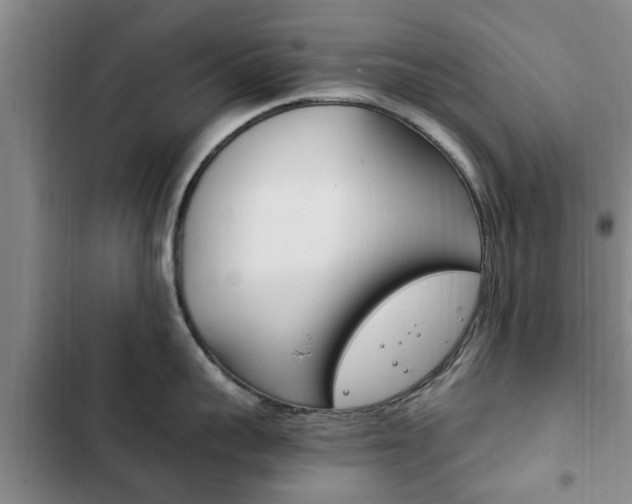 X0000102760959200808180928