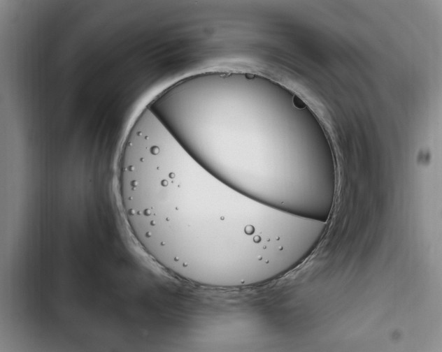 X0000102760960200808180928