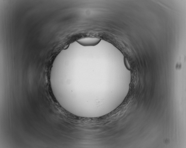 X0000102760962200808180928
