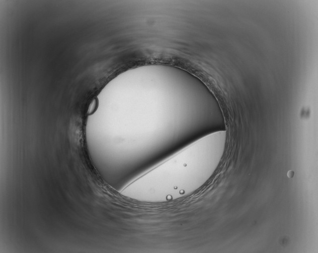 X0000102760963200808180928