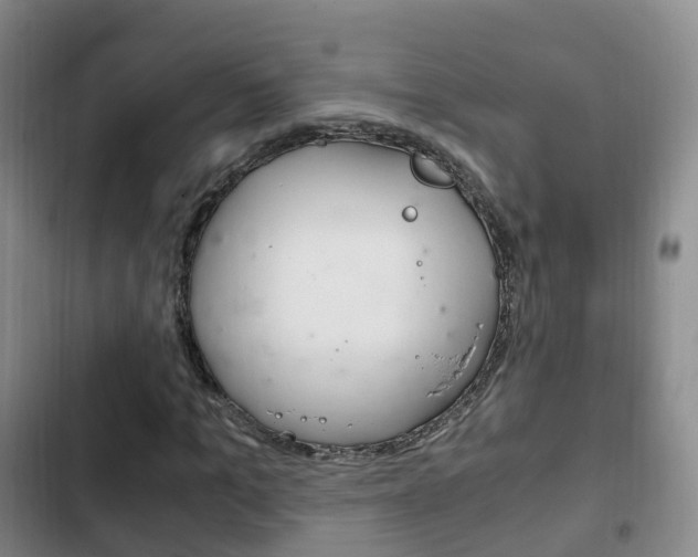 X0000102760965200808180928