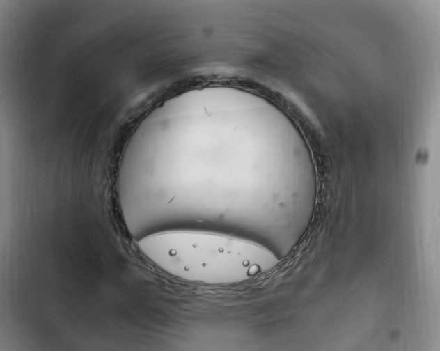 X0000102760967200808180927