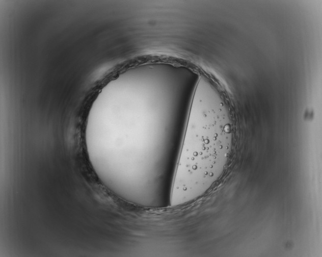 X0000102760968200808180927