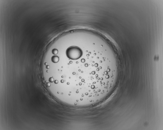 X0000102760969200808180927
