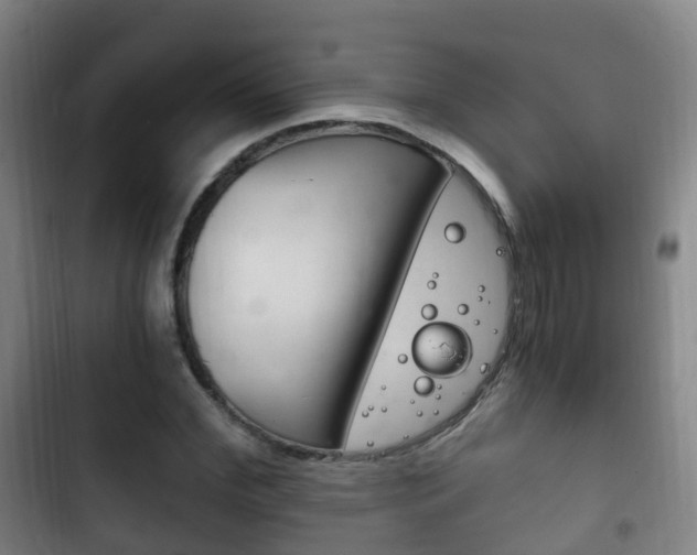 X0000102760972200808180927