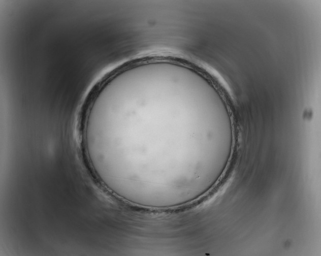 X0000102760973200808180927