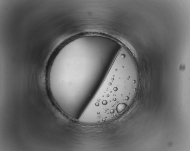 X0000102760976200808180927
