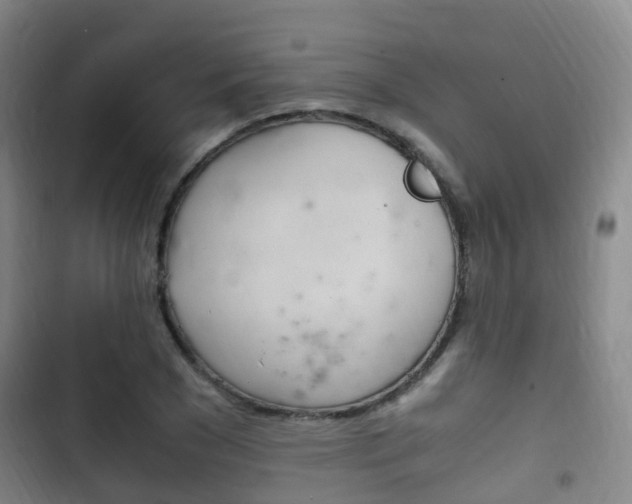 X0000102760977200808180927