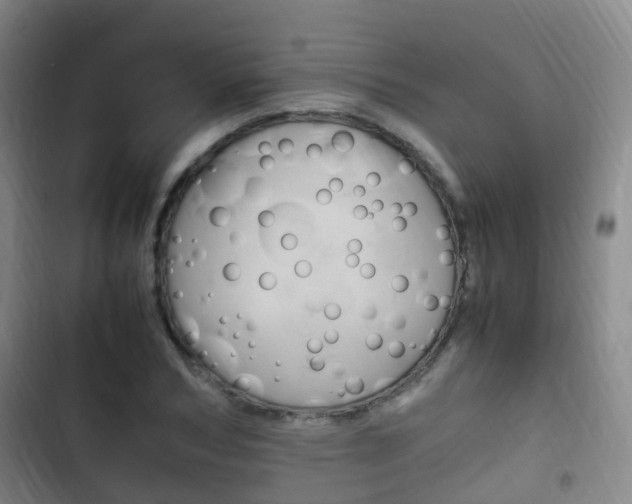 X0000102760978200808180927