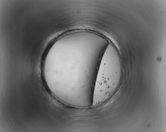 X0000102760979200808180927